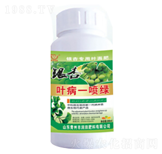 銀杏葉病一噴綠-潤田肥料