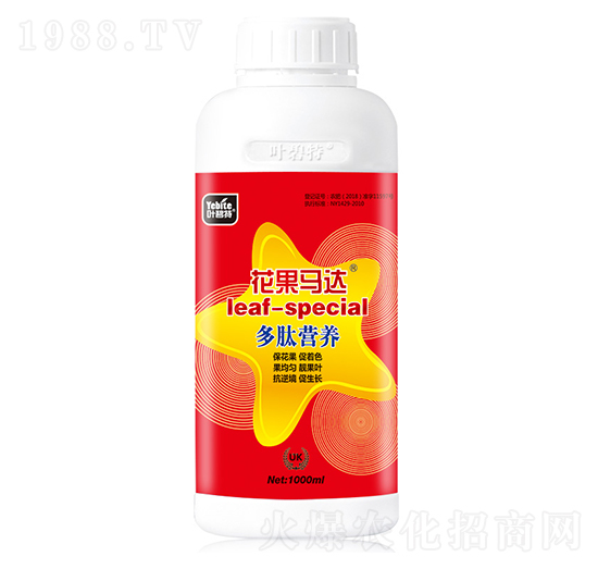 �����R�_(d��)-�~����