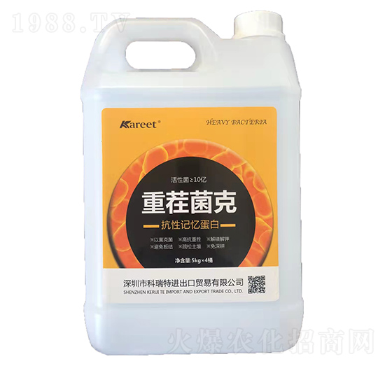 �ز����-������