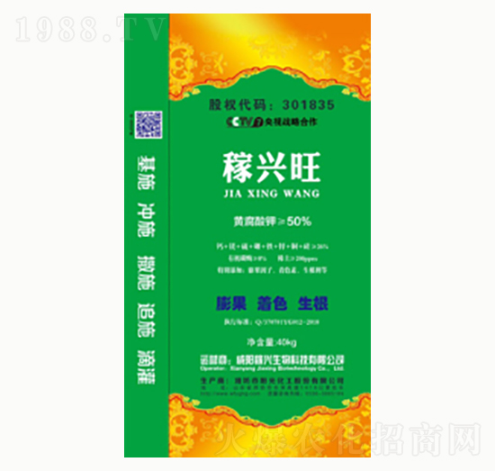 ���d��-ꖹ⻯��