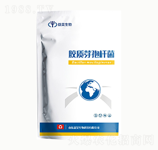 �z�|ѿ�ߗU��-�������