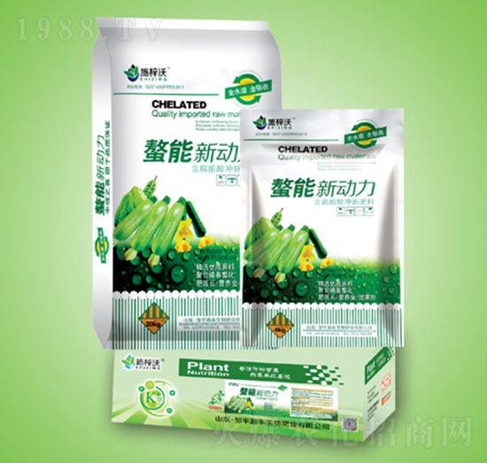 ������(d��ng)��-ʩ����-��S����