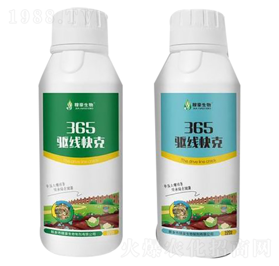 365�(q��)�����-�ں�����