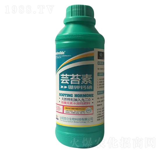 �|̦��-��(��i)���_(d��)