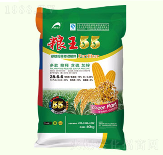 ���Ŀ�ጓ������-�Z��55-������S