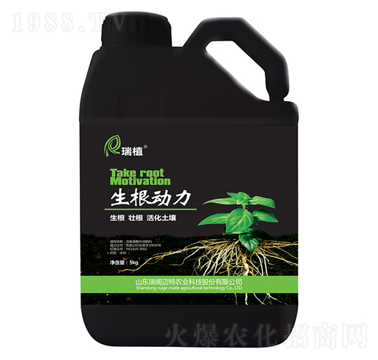 ������(d��ng)��-��ֲ-���w�~��