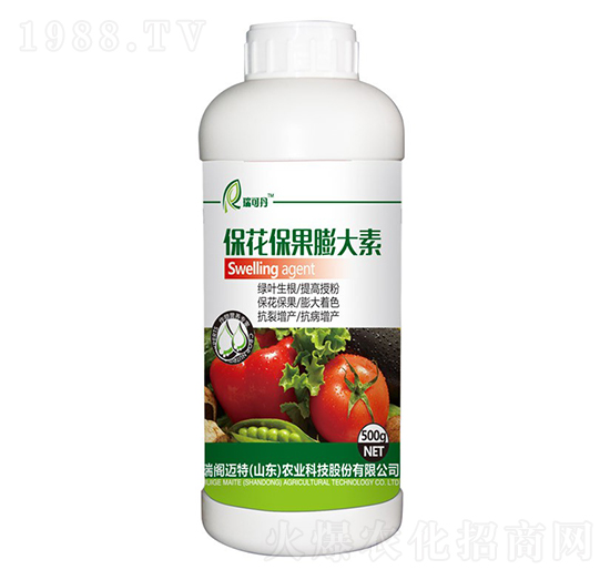 �������������-��ɵ�-���w�~��