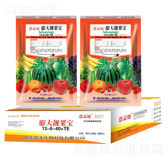 ����n����13-6-40+TE-�����-�r��