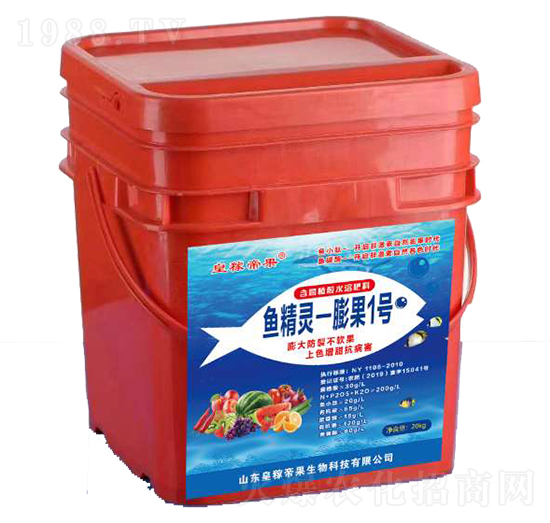 �~���`-���1̖(h��o)-�ʼڵ۹�