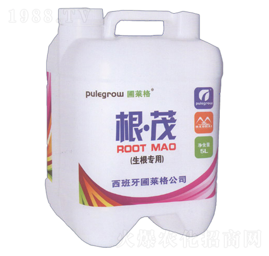 �������ø�ï-���R��-�ƺ�