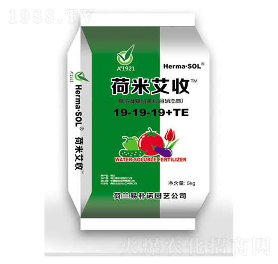 �ߝ�ȏ�(f��)�Ϸ���19-19-19+TE-���װ���-�ƺ�