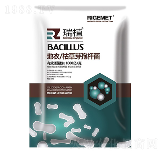 ���¿ݲ�ѿ�ߗU��-��ֲ-���w�~��