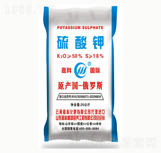 �����-�ο�