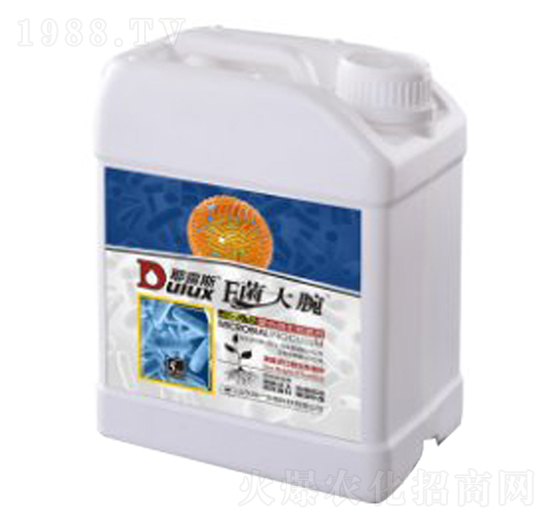 ������-Ү¶˹-�Qһ