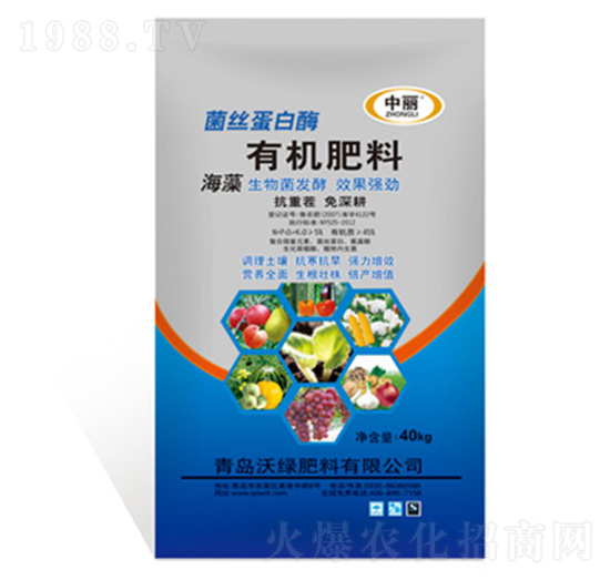 ���z����ø�ЙC(j��)����-�־G����