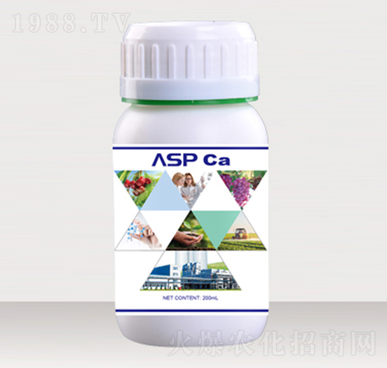 �����Ǵ��}-��ؐ��