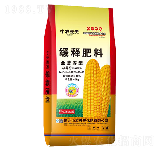 ��ጷ���28-10-10-���r����