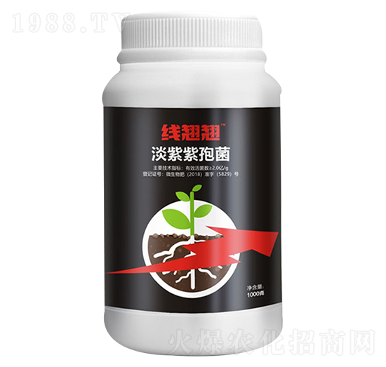 �������߾�-���N�N-�����_(d��)