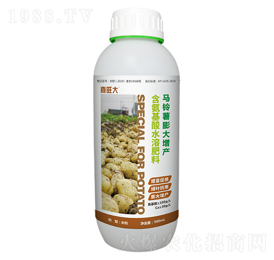 馬鈴薯膨大增產(chǎn)-喜旺大-原力肥業(yè)