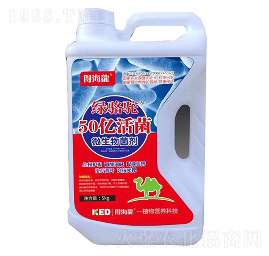 50億活菌微生物菌劑-綠駱駝-康恩地