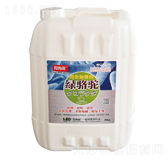 ΢�������-�G��-������