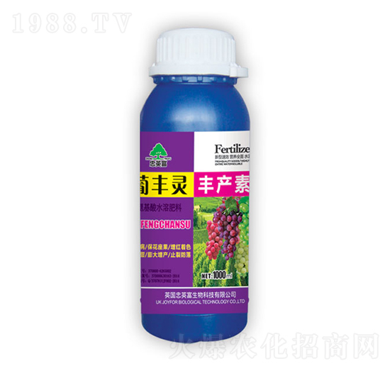 ���S�`�S�a(ch��n)��-�|���S