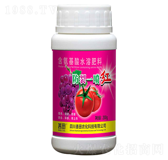 ����һ���t-����