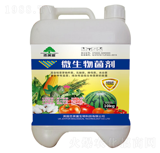 ΢�������-�|���S