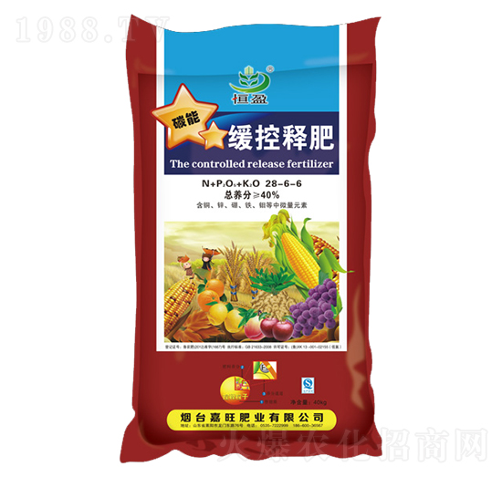 ����ጷ�28-6-6-����