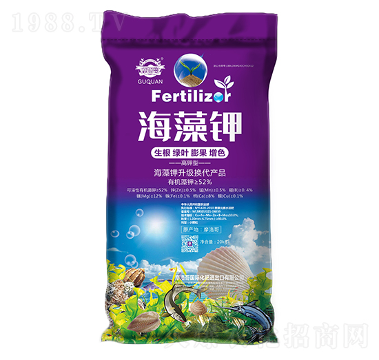 ����⛷�-��Ȫ����