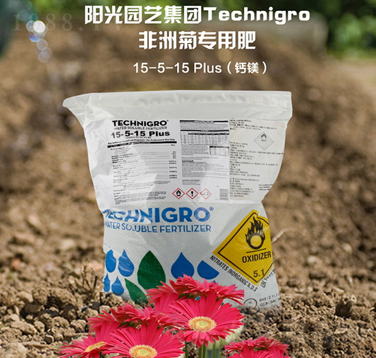 ���޾Ռ����}�V��5-5-15-ꖹ��ǻ�