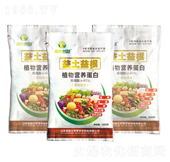 ֲ��I(y��ng)�B(y��ng)����-�������-�(y��ng)���ǻ�