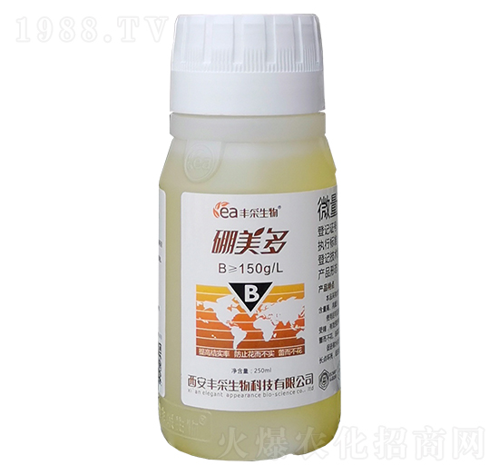 ������-�S������