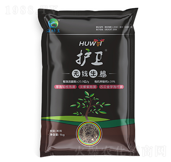 �o(h��)�l(w��i)���o������-���G��