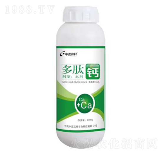 �����}-���ظ߿�