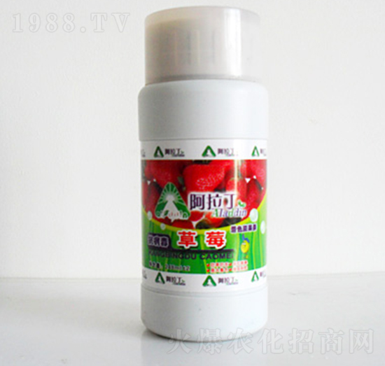 ��ݮ��ɫ�����-������