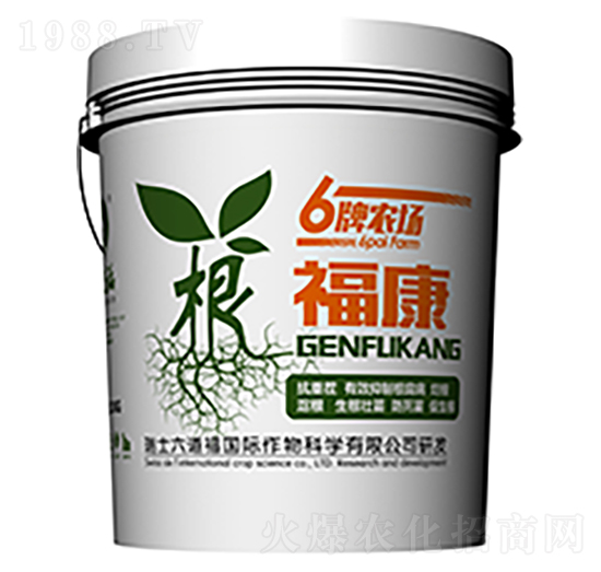 ������-������