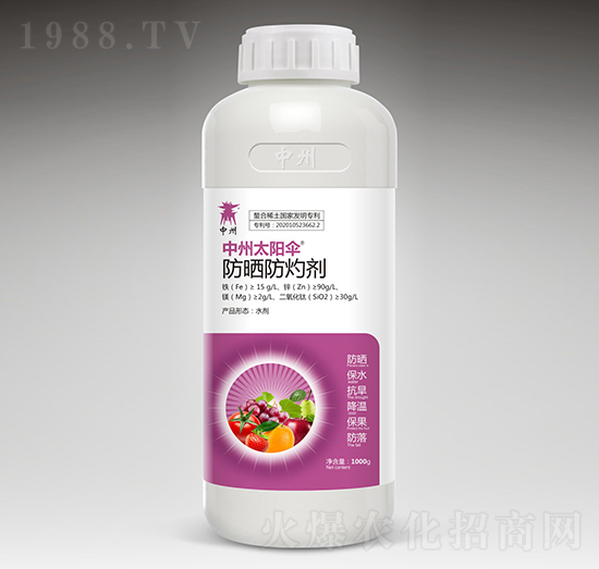 ������Ƅ�-����̫ꖂ�-��֮��