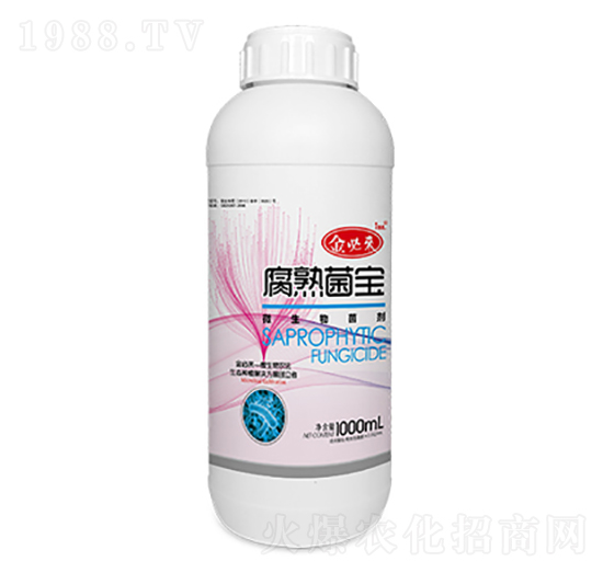 ΢�������-�������-��؁�����