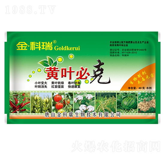 �S�~�ؿ�-�����