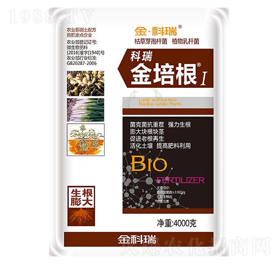 �����1̖(h��o)-�����