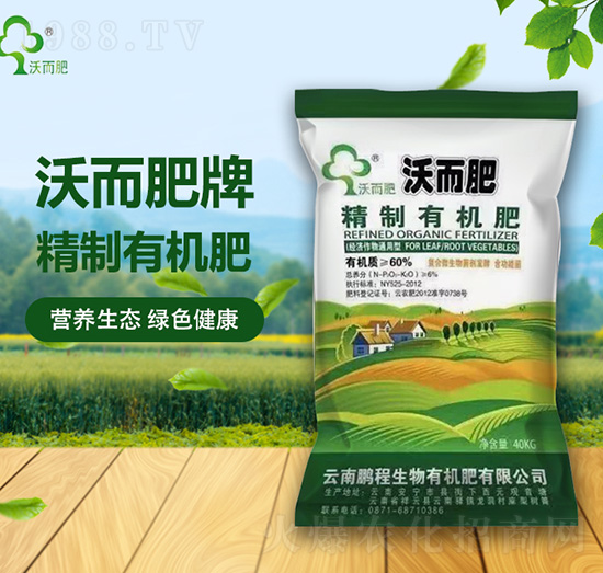 �����ЙC��-�ֶ���-�i������