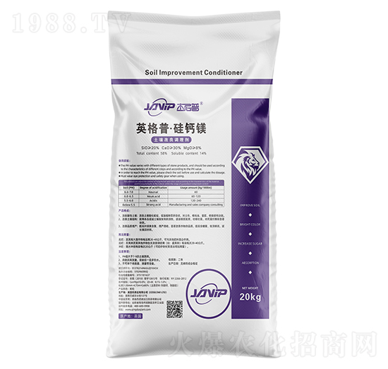 Ӣ���ա����}�V-������