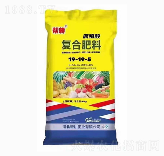 �ͺϷ���19-19-5-�͸��ʘI(y��)