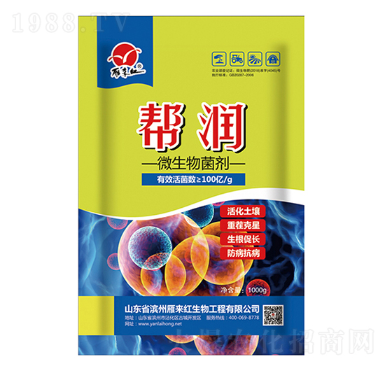 ΢�������-�͝�(r��n)-����t