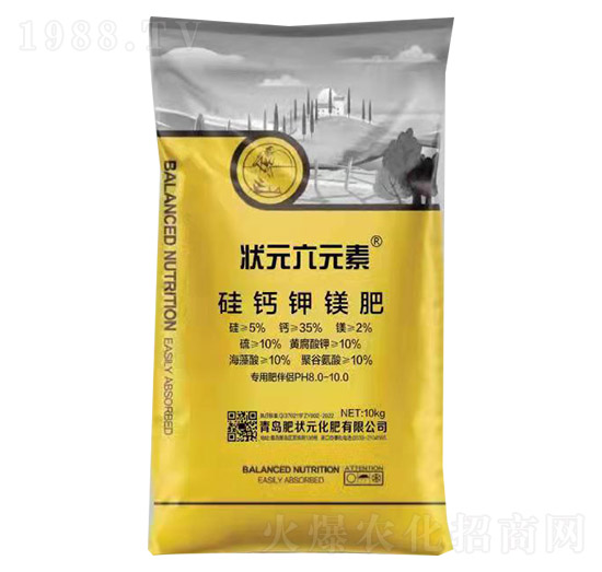 10kg���}��V��-��Ԫ��Ԫ��-�ʠ�Ԫ