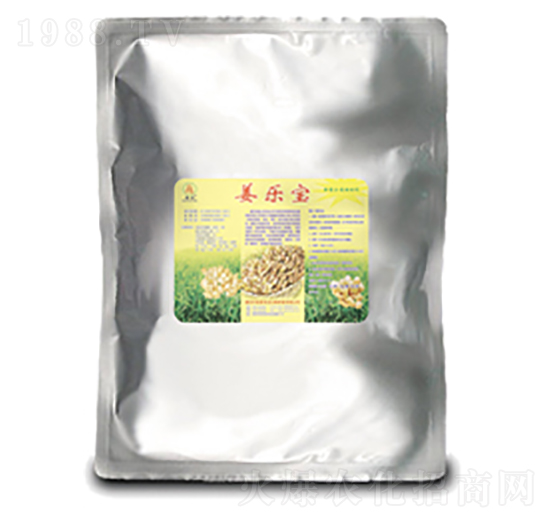 ������-��̩��