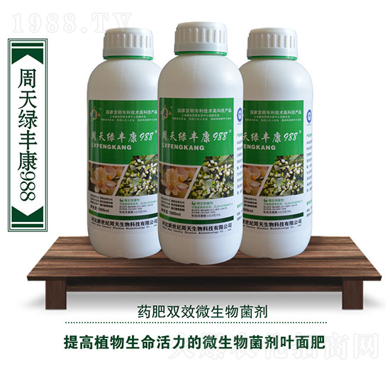 ����G�S��988���~��ʣ�-��������