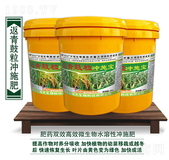 返青鼓粒沖施寶-周天生物