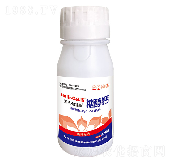 �Ǵ��}-���������S˹-ɽ�|�������